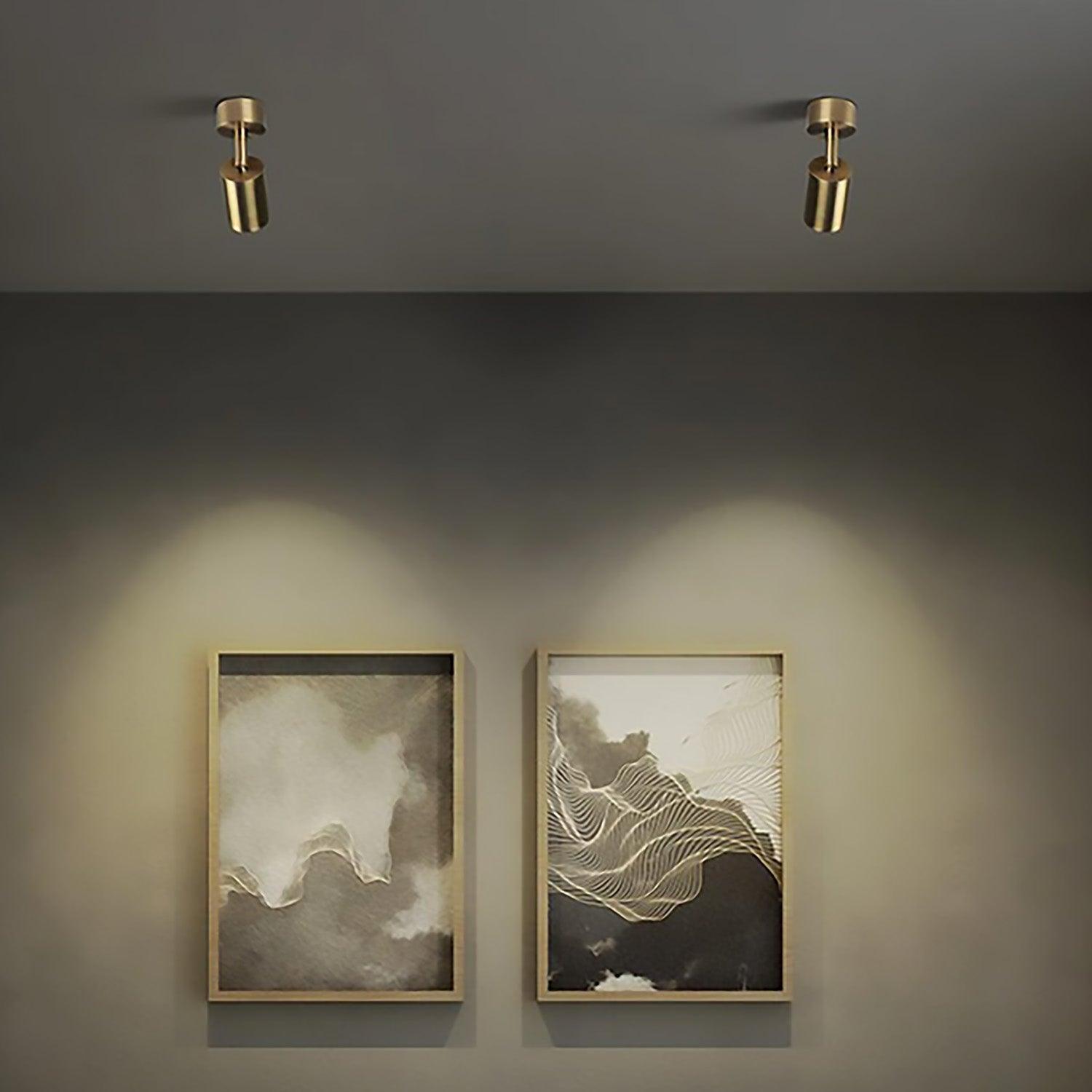 Spot | PROKSIMA - Modilu