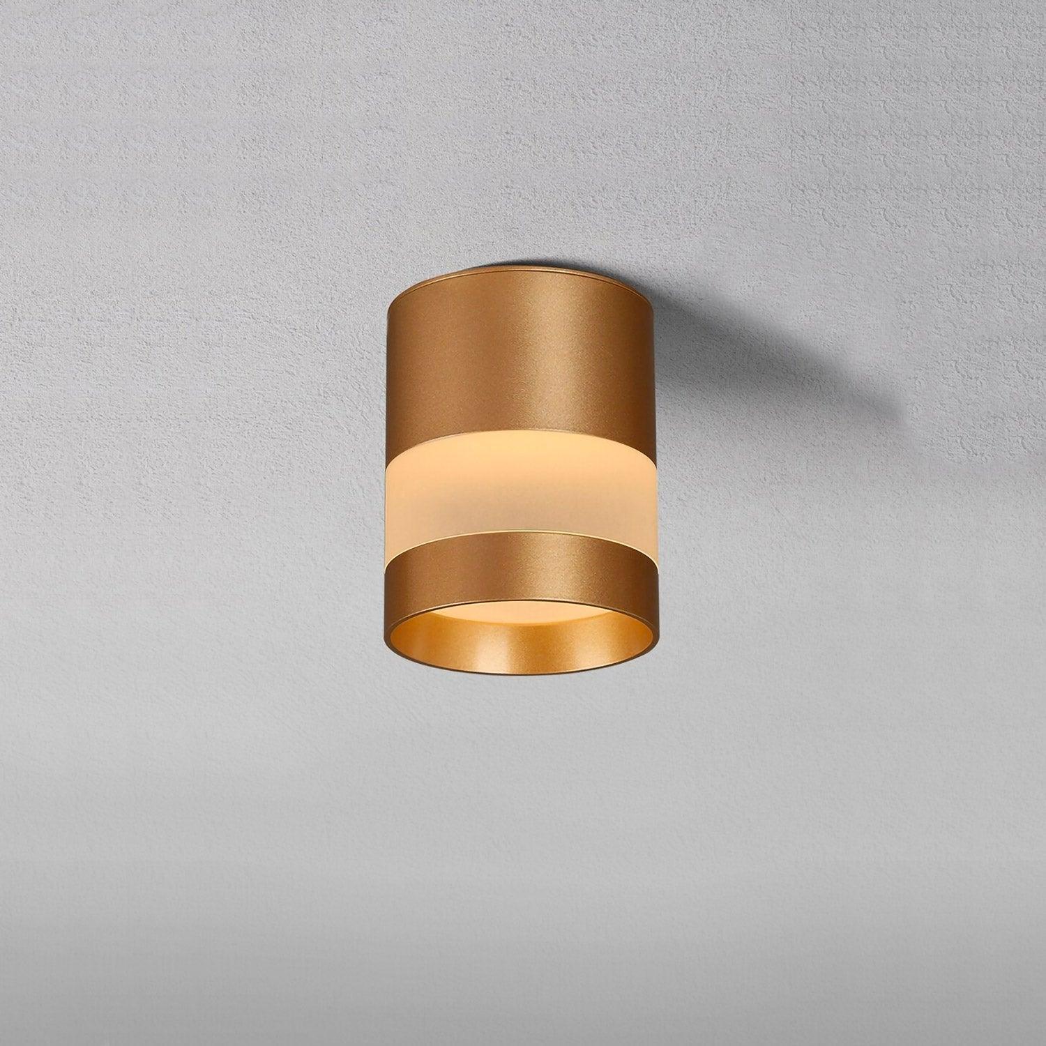 Spot | SVALOCIN - Modilu